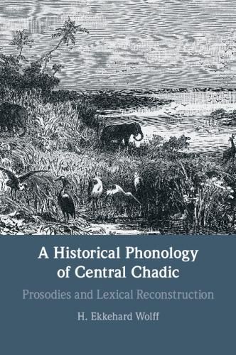 Cover image for A Historical Phonology of Central Chadic