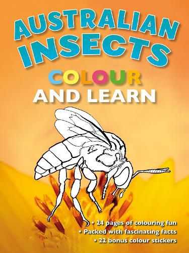Cover image for Australian Insects