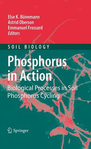 Cover image for Phosphorus in Action: Biological Processes in Soil Phosphorus Cycling