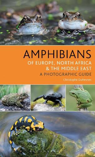 Cover image for Amphibians of Europe, North Africa and the Middle East: A Photographic Guide
