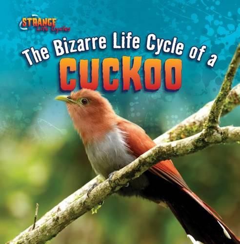 Cover image for The Bizarre Life Cycle of a Cuckoo