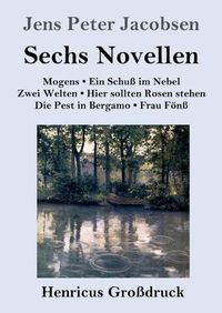 Cover image for Sechs Novellen (Grossdruck)