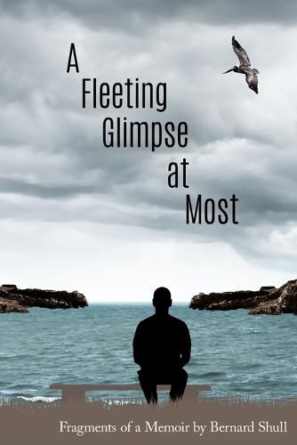 Cover image for A Fleeting Glance at Most