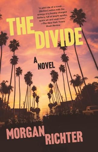 Cover image for The Divide