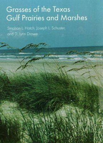 Cover image for Grasses of the Texas Gulf Prairies and Marshes