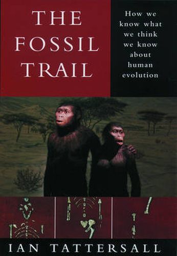 Cover image for Fossil Trail