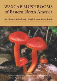 Cover image for Waxcap Mushrooms of Eastern North America