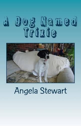 Cover image for A Dog Named Trixie