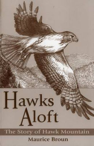 Cover image for Hawks Aloft: the Story of Hawk Mountain