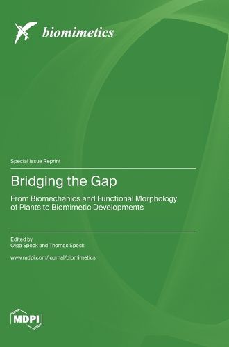 Cover image for Bridging the Gap