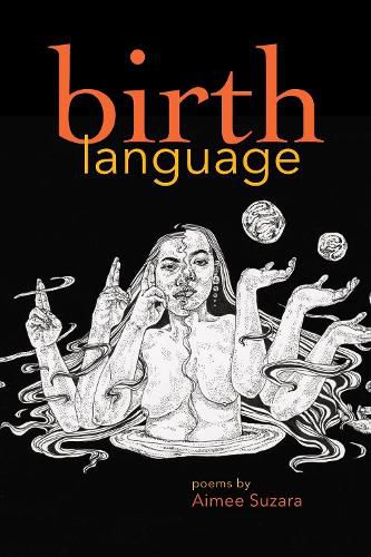 Cover image for Birth Language