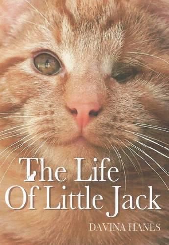 Cover image for The Life of 'Little Jack