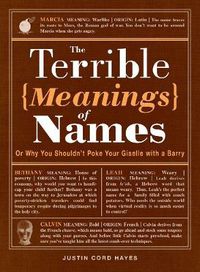 Cover image for The Terrible Meanings of Names: Or Why You Shouldn't Poke Your Giselle with a Barry
