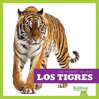 Cover image for Los Tigres (Tigers)