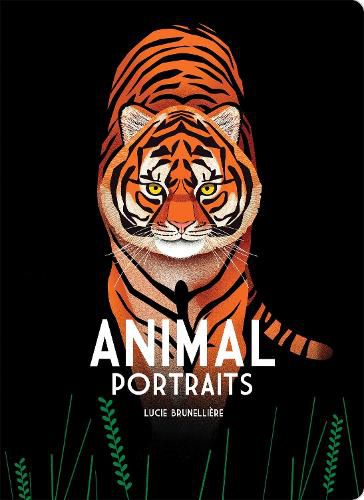 Cover image for Animal Portraits