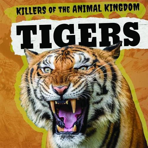 Cover image for Tigers