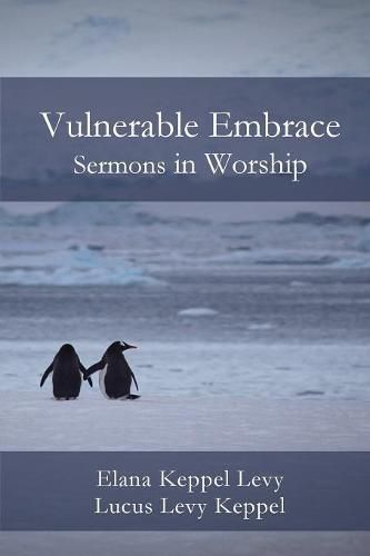 Cover image for Vulnerable Embrace
