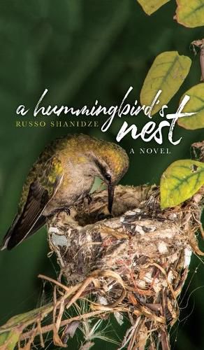 Cover image for A Hummingbird's Nest