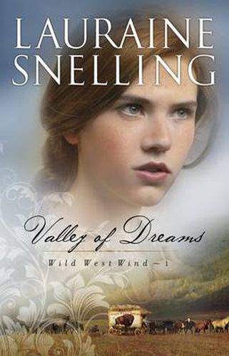 Cover image for Valley of Dreams