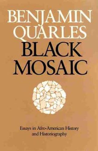 Black Mosaic: Essays in Afro-American History and Historiography