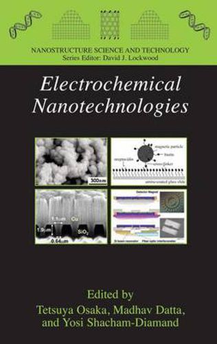 Cover image for Electrochemical Nanotechnologies