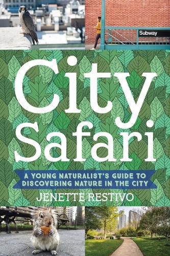 Cover image for Wild in the Streets