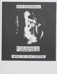 Cover image for David Wojnarowicz: In the Shadow of Forward Motion