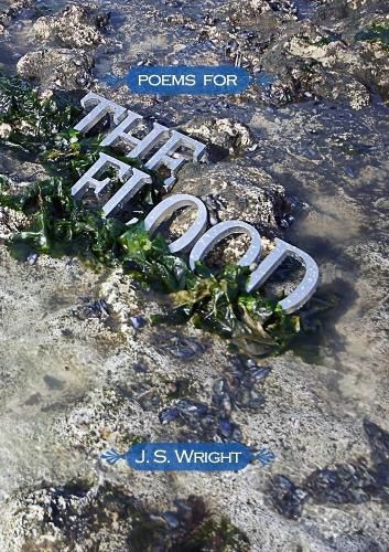 Cover image for Poems for the Flood (Volume II)