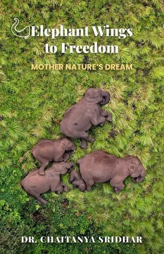 Cover image for Elephant Wings to Freedom