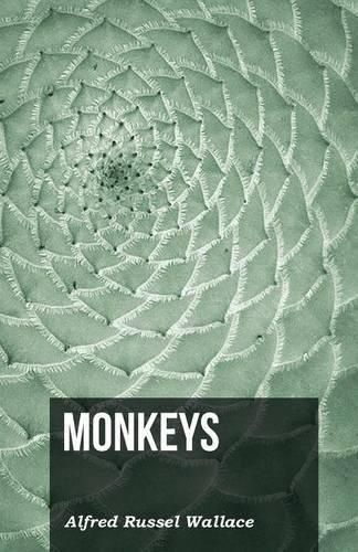 Cover image for Monkeys