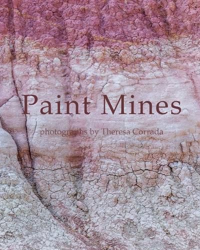 Cover image for Paint Mines