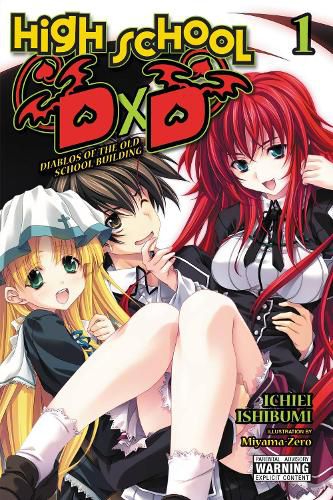 Cover image for High School DxD, Vol. 1 (light novel)