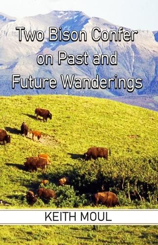 Cover image for Two Bison Confer on Past and Future Wanderings