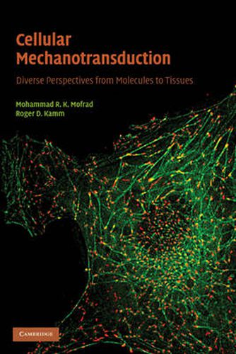 Cover image for Cellular Mechanotransduction: Diverse Perspectives from Molecules to Tissues