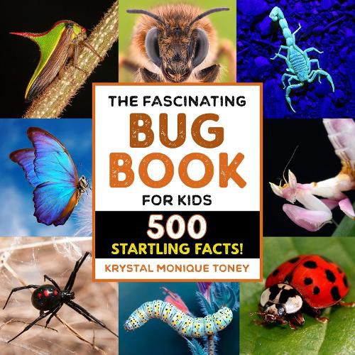 Cover image for The Fascinating Bug Book for Kids: 500 Startling Facts!