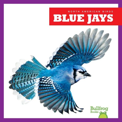 Blue Jays