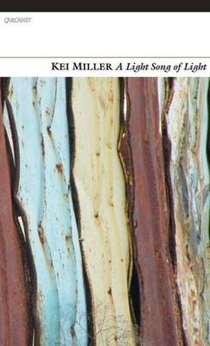 Cover image for Light Song of Light