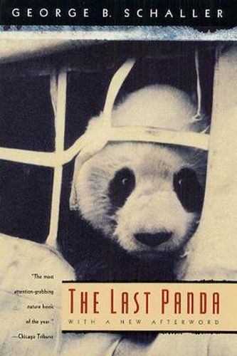 Cover image for The Last Panda