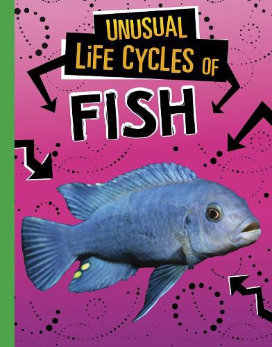 Cover image for Unusual Life Cycles of Fish