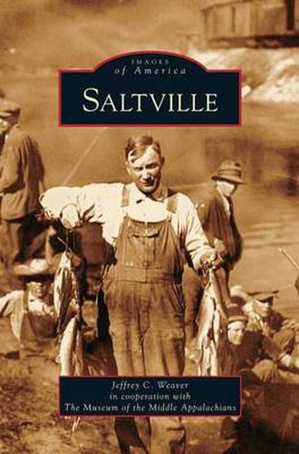 Cover image for Saltville