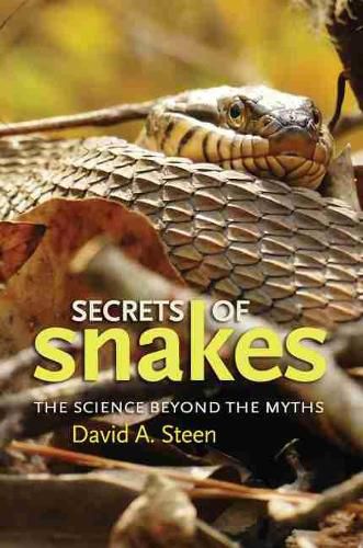 Cover image for Secrets of Snakes: The Science beyond the Myths