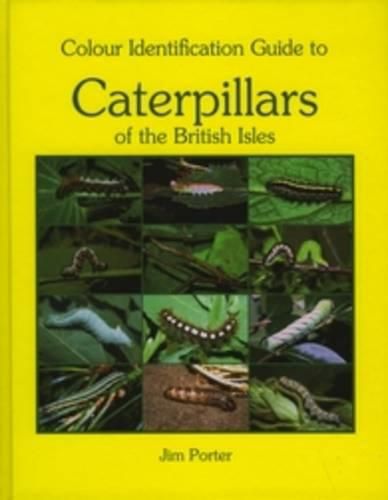 Cover image for Colour Identification Guide to Caterpillars of the British Isles. Macrolepidoptera