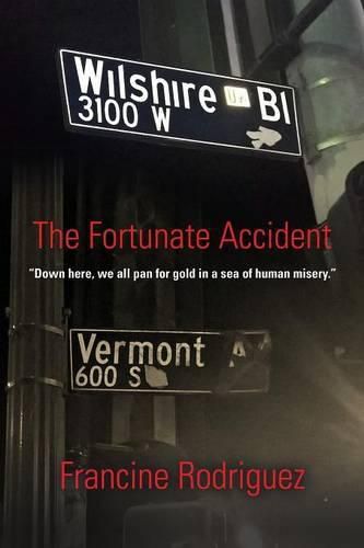 Cover image for The Fortunate Accident