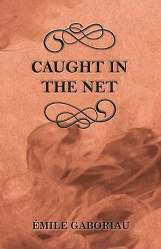 Cover image for Caught in the Net