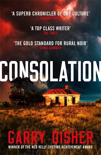 Consolation: Constable Hirsch Mysteries 3