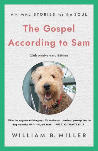 Cover image for The Gospel According to Sam