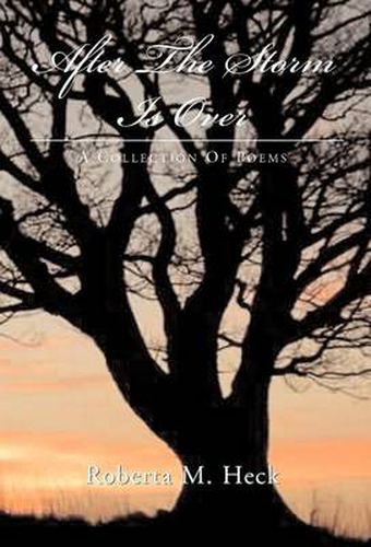 Cover image for After The Storm Is Over