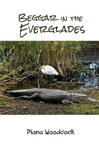 Cover image for Beggar in the Everglades