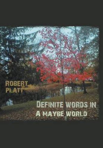 Cover image for Definite Words in a Maybe World