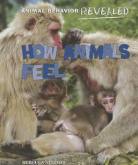 Cover image for How Animals Feel